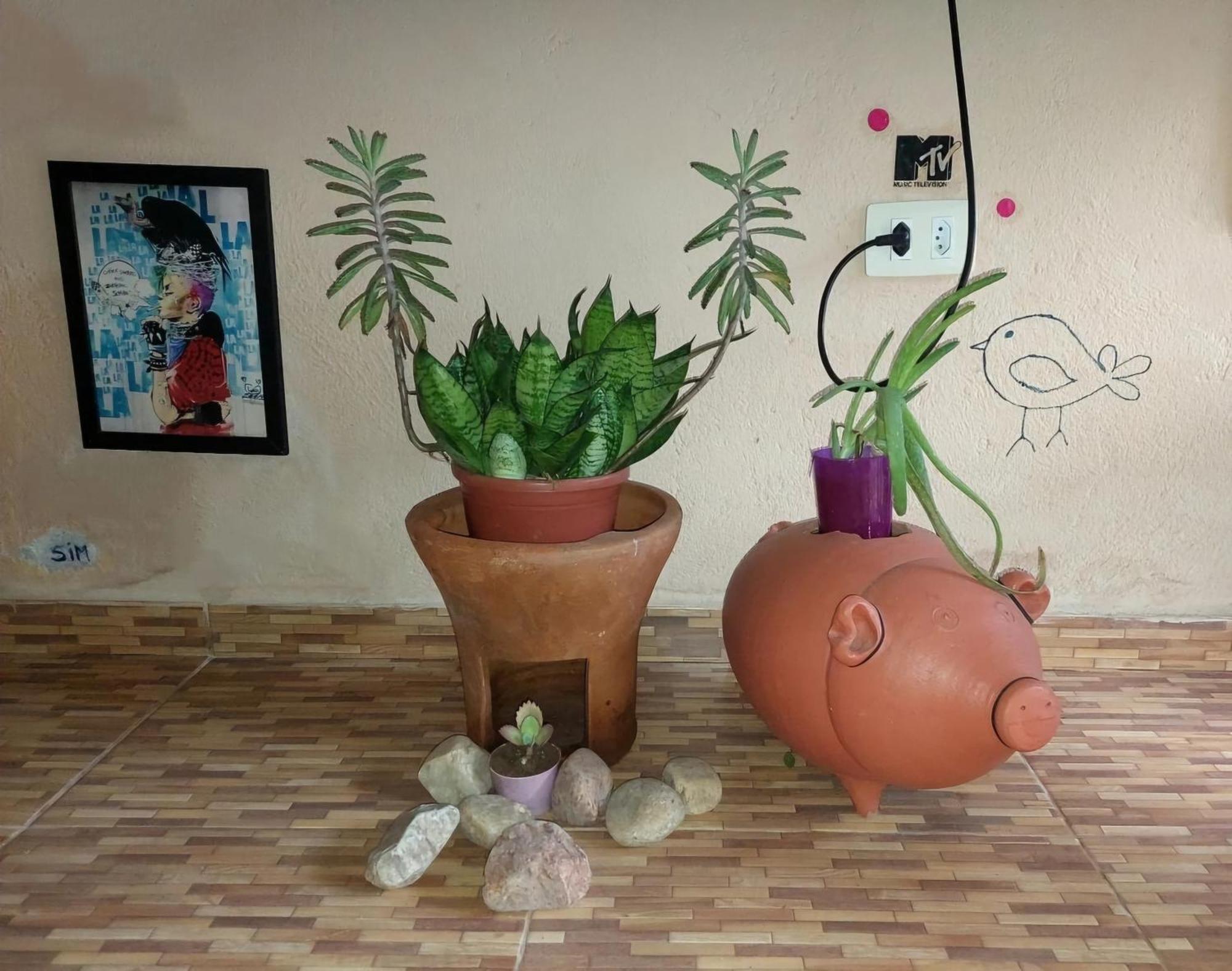 @Hostel_Vibe_Descolada ريسيفي المظهر الخارجي الصورة